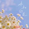 Download track 未知的花 (伴奏)