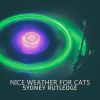 Download track Nice Weather For Cats (Crazy Wet Cat Mix)