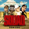 Download track Squad (We Are Nuts! & Waxx Remix)