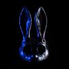 Download track Rabbit Hole