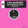 Download track Mysterious Funk (Original Mix)