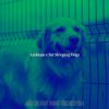 Download track Happening Music For Lonely Dogs