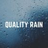 Download track Delightful Rain