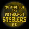 Download track Nothin' But The Pittsburgh Steelers (Party Remix)