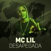 Download track Desapegada