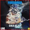 Download track Cold As Ice (Live)