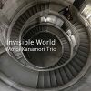 Download track Invisible World