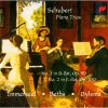 Download track Piano Trio In E Flat Major D. 929 Op. 100 - IV Allegro Moderato