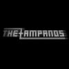 Download track The Zampanos - Art N Fuck