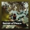 Download track Relaxing Meditation Zen, Pt. 7