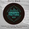 Download track Harry Black (Original Mix)