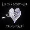 Download track Forever Forget (Dream Wife Remix)