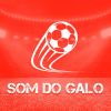 Download track Olha O Galo