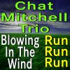 Download track Blowin' In The Wind