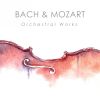 Download track II. Szene Am Bach. Andante Molto Mosso