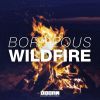 Download track Wildfire (Original Mix)