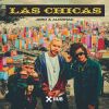 Download track Las Chicas (Extended Mix)