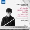 Download track Fantasia In G Minor, BWV 917