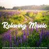 Download track Beautiful Relaxing For Stress Relief