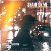 Download track Shame On Me