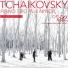 Download track Piano Trio In A Minor, Op. 50, TH 117 IIk. Tema Con Variazioni. Var. 8, Fuga. Allegro Moderato