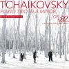 Download track Piano Trio In A Minor, Op. 50, TH 117 IIg. Tema Con Variazioni. Var. 4, L'istesso Tempo