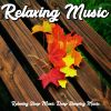 Download track Beautiful Relaxing For Stress Relief