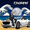 Download track Tsunami