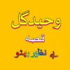 Download track Qessa Benazer Bhutto, Pt. 5