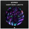 Download track Northern Lights