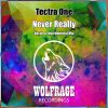 Download track Never Really (Vocal Mix)