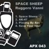 Download track Space Sheep (Original Mix)