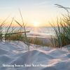 Download track Stunning Sunrise Shore Waves Ambience, Pt. 2