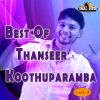 Download track Njanere Thettu Cheythu