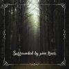 Download track Surrounded By Pine Trees N° 2