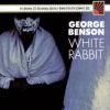 Download track White Rabbit