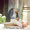 Download track Tranquil Home