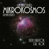 Download track March (Mikrokosmos No. 147)