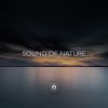 Download track Raindrops & Nature