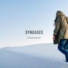 Download track Syngases