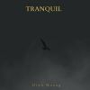 Download track Tranquil Tones