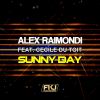 Download track Sunny Day