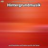 Download track Hintergrundmusik Teil 3