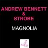 Download track Magnolia (Original Mix)