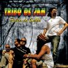 Download track Os Tambores De Sao Luis (Tributo A Josue Montello)