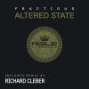 Download track Altered State (Richard Cleber Remix)