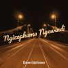 Download track Ngizophuma Ngewindi