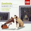 Download track 8. Zemlinsky - S2 - Mvmt 4