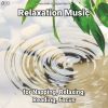 Download track Relaxation Music, Pt. 22