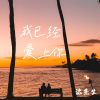 Download track 我已经爱上你 (伴奏)